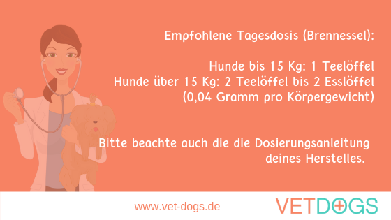 Empfohlende Tagesdosis für Brennessel, So helfen Nahrungsergänzungsmittel deinem Hund bei Arthrose, www.vet-dogs.de, www.vetdogs.de