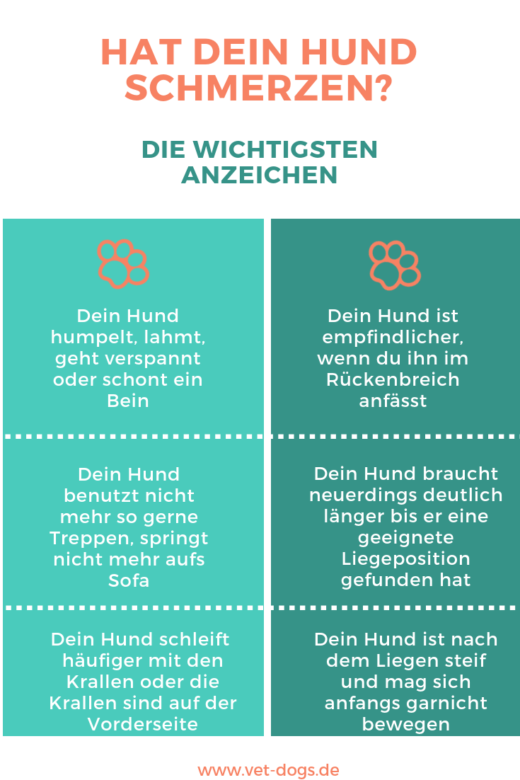 Dein Hund hat Arthrose - verschiedene Möglichkeiten Therapie findest Du hier -