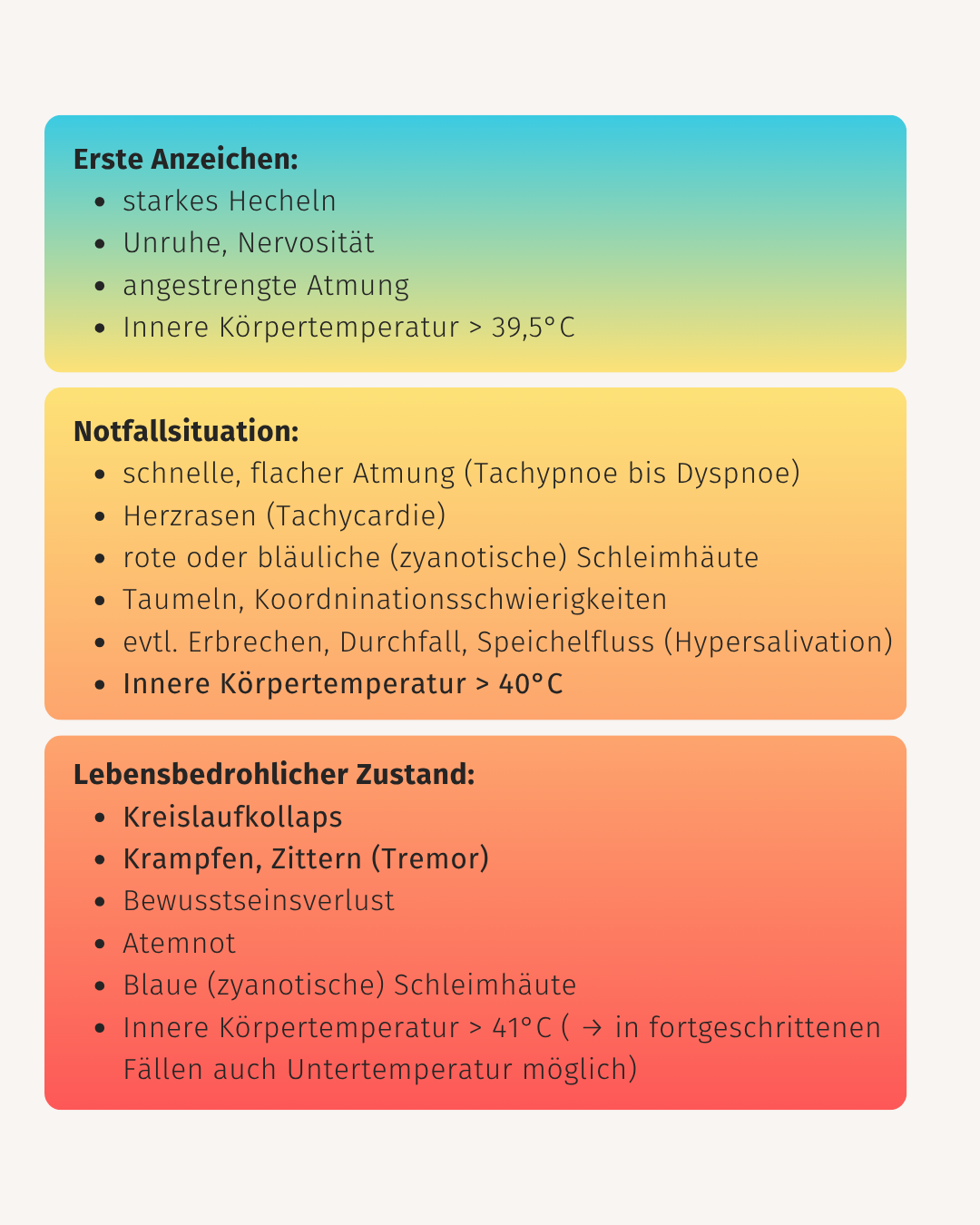 Anzeichen-Hitzschlag-Hund