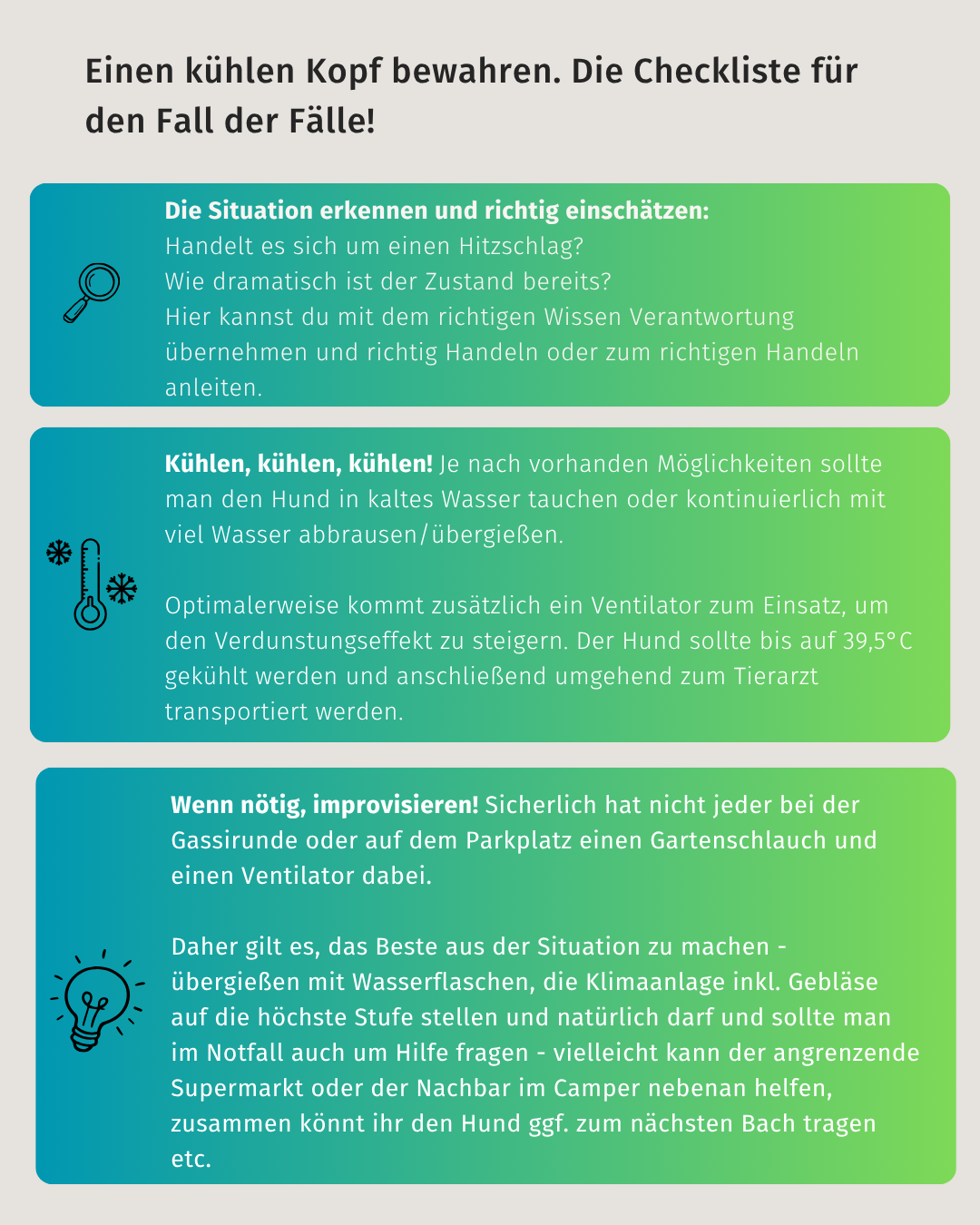 aktuelle Sofortmaßnahmen beim Hitzschlag