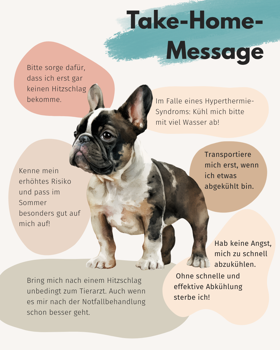 Zusammenfassung wichtiger Infos zum Hitzschlag