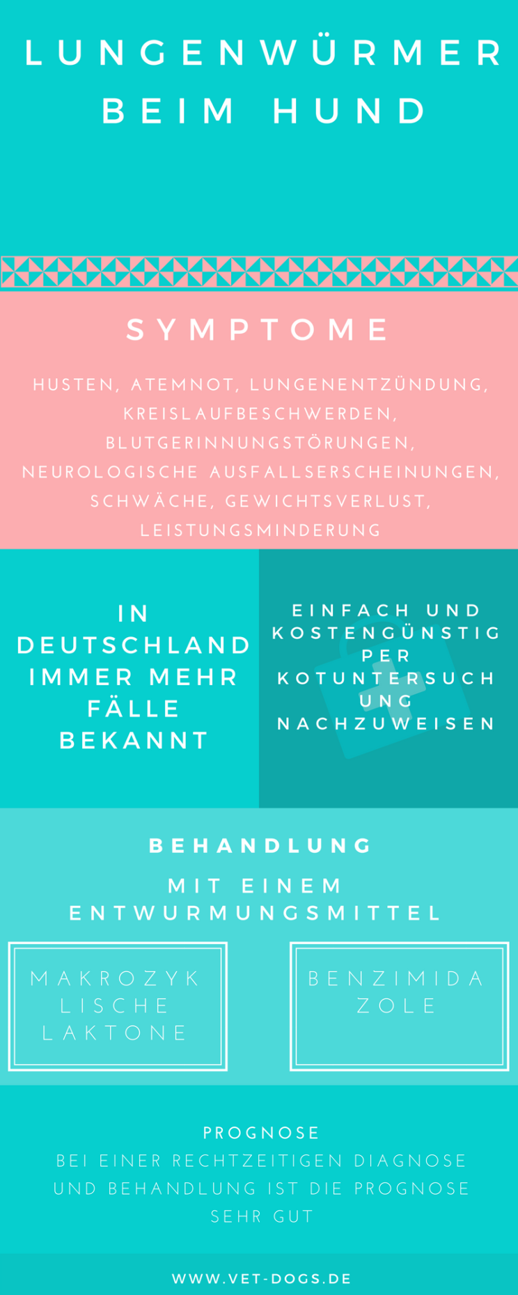 Lungenwürmer beim Hund, www.vet-dogs.de