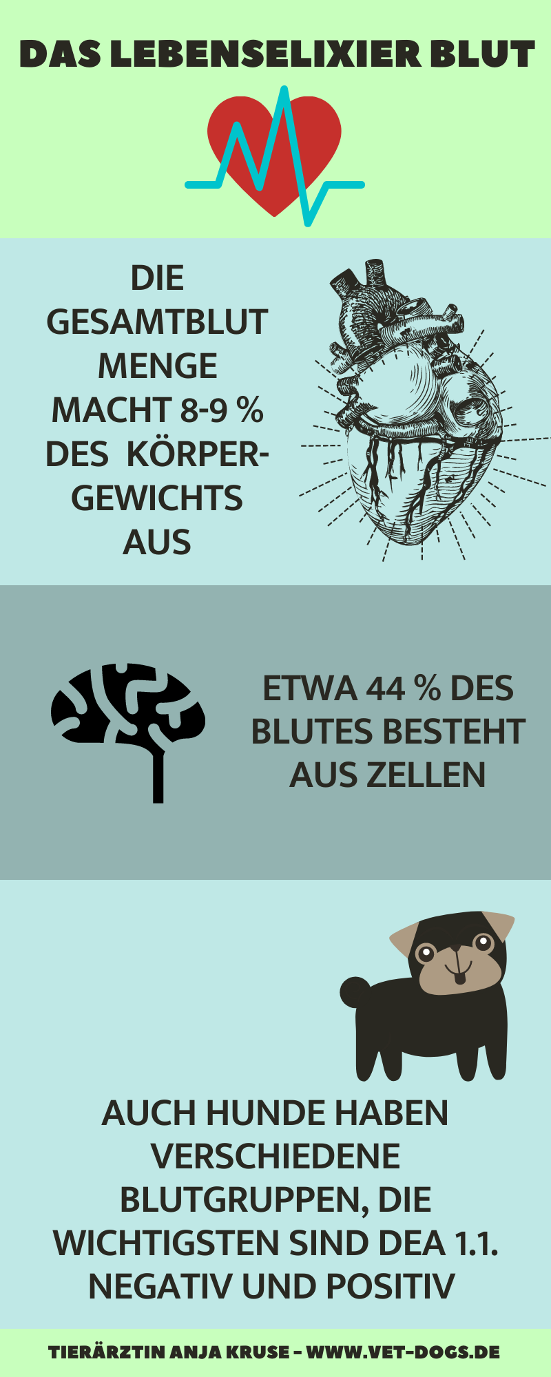 20 Orte, um Angebote für bartwuchs durch steroide zu erhalten