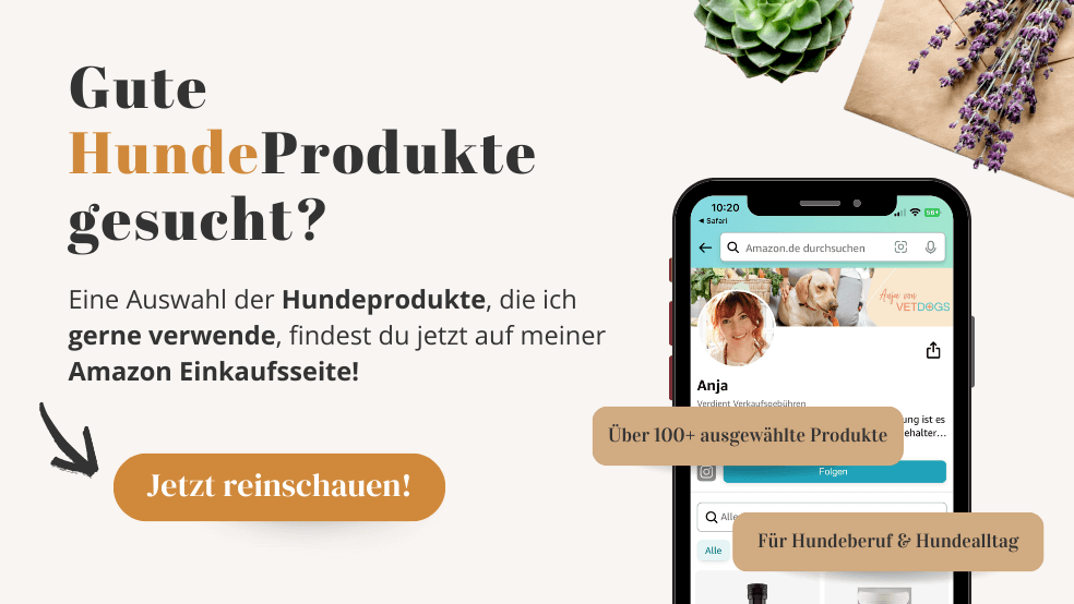 Produktempfehlungen bei Amazon