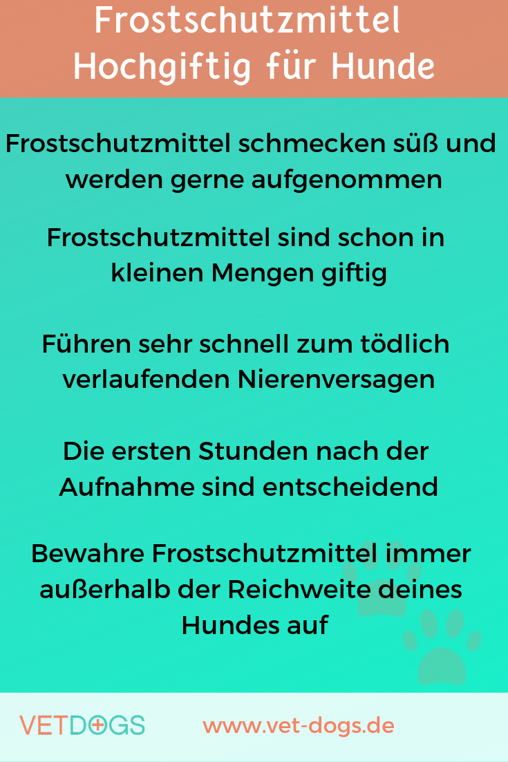 Frostschutzmittel -hochgiftig für Hunde, www.vet-dogs.de, www.vetdogs.de