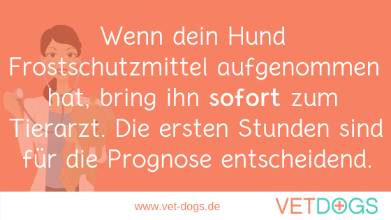 Frostschutzmittel -hochgiftig für Hunde, www.vet-dogs.de, www.vetdogs.de
