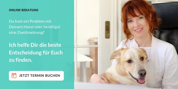 Unter beweglichen knubbel hund haut hat Hundebiss, knubbel