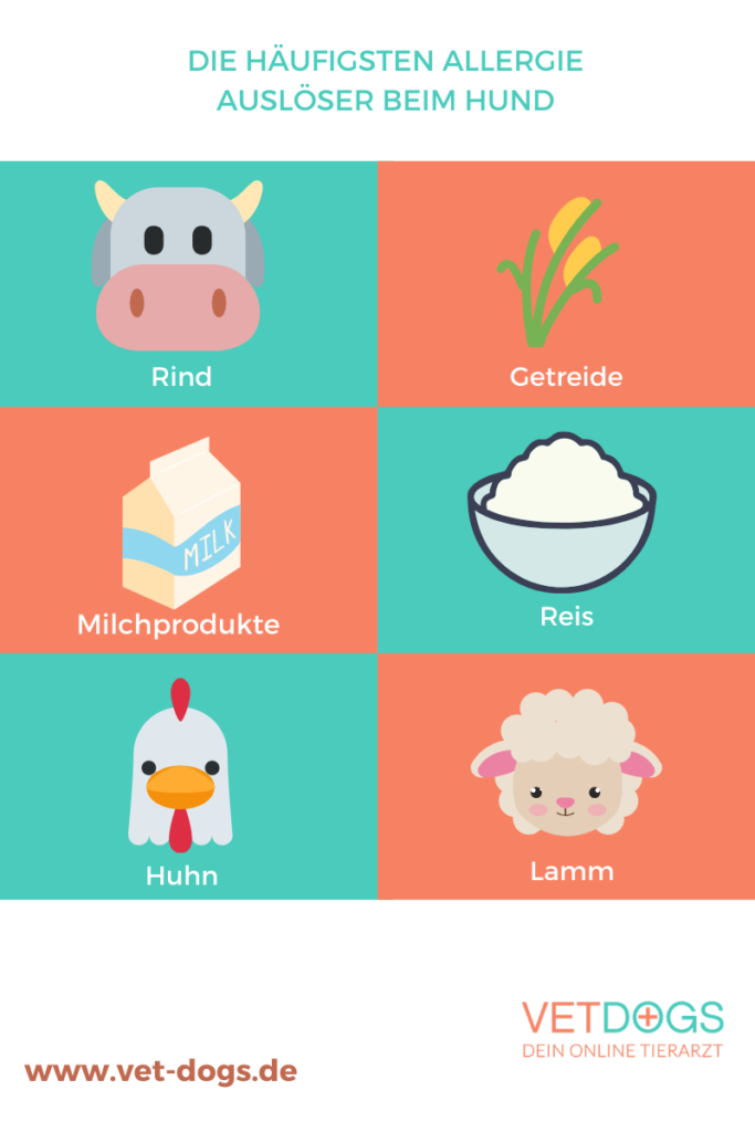 Allergie-auslösende-Stoffe-Futtermittelallergie