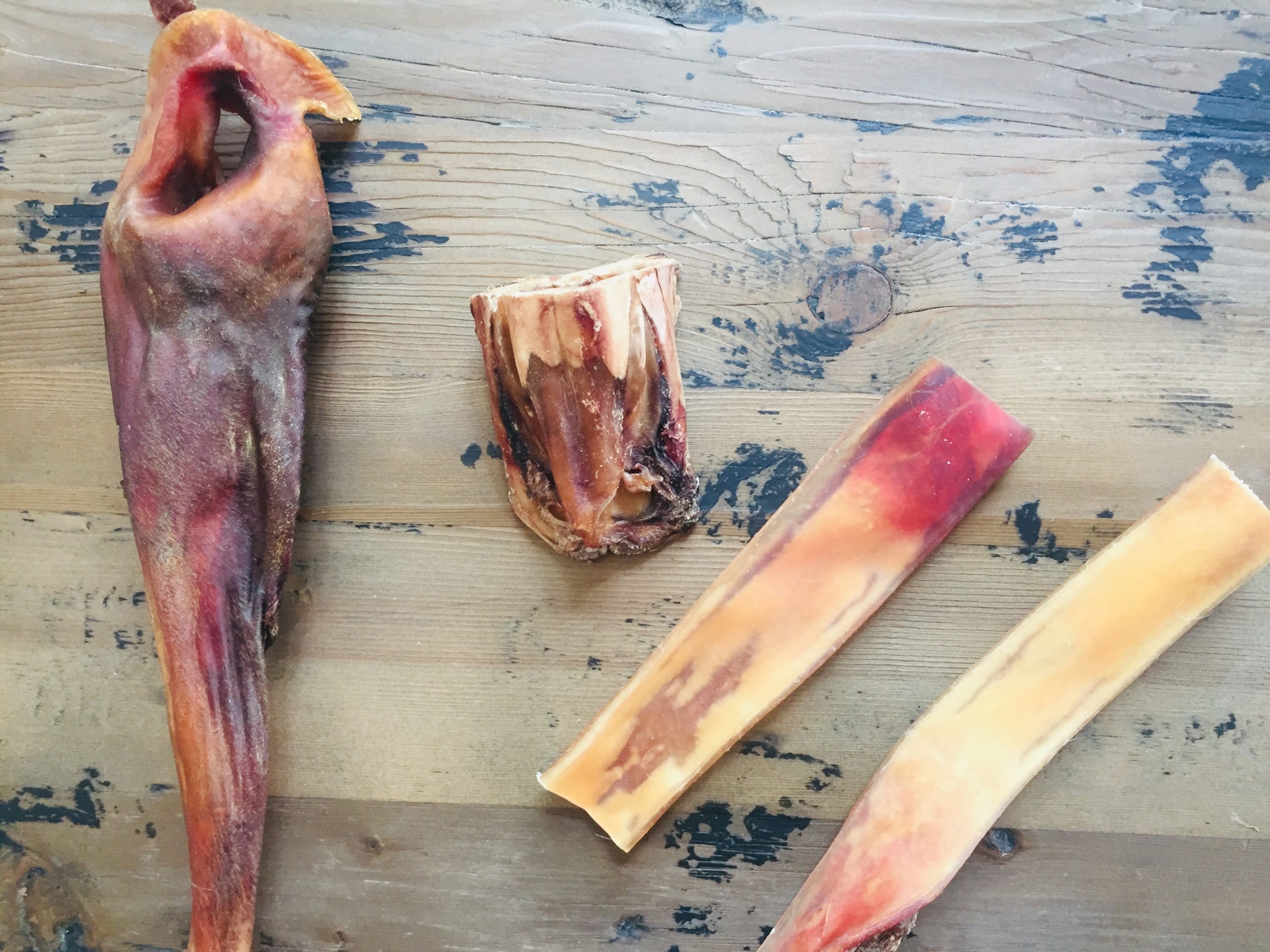 Kauknochen für den Hund