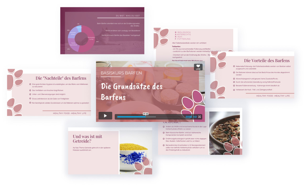 Basiskurs Barfen VetDogs Dein Online Tierarzt mit
