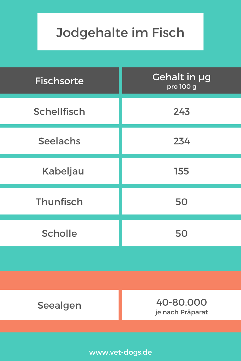 Jodgehalt-im-Fisch-Hundefütterung