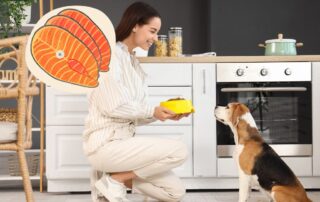 Hunde Fisch füttern