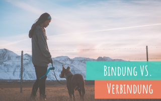 Bindung-zum-Hund-so-klappt-es