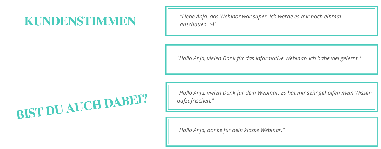 Kundenstimmen-Vetdogs Kundenstimmen-Vetdogs