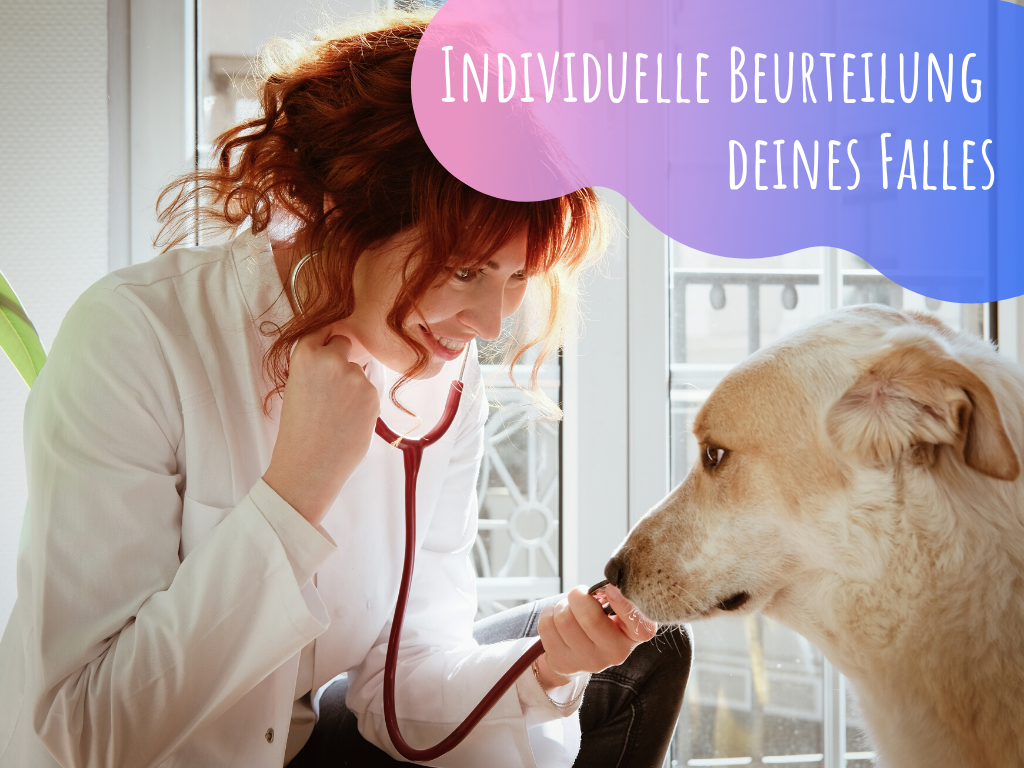Shop - Tierärztlichen Leistungen für Hunde von Beratung bis Fortbildung