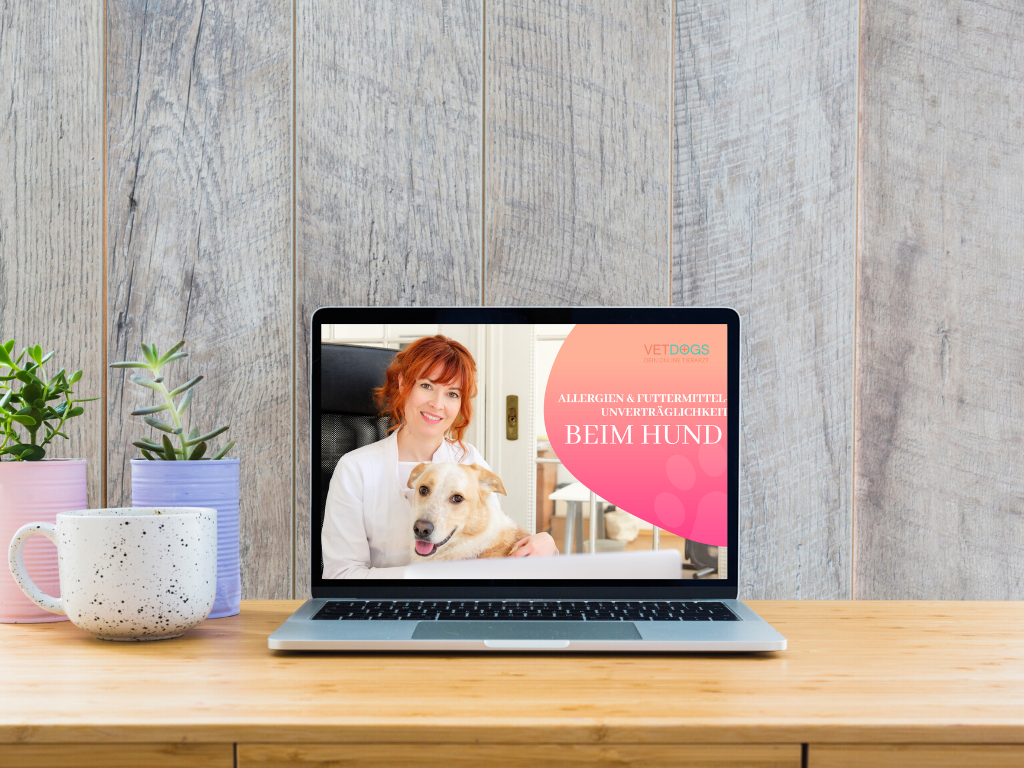 Webinar-Tierarzt-Allergien-beim-Hund Webinar-Tierarzt-Allergien-beim-Hund