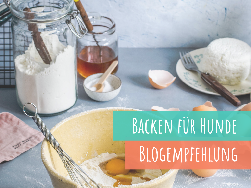 backen-für-den-hund