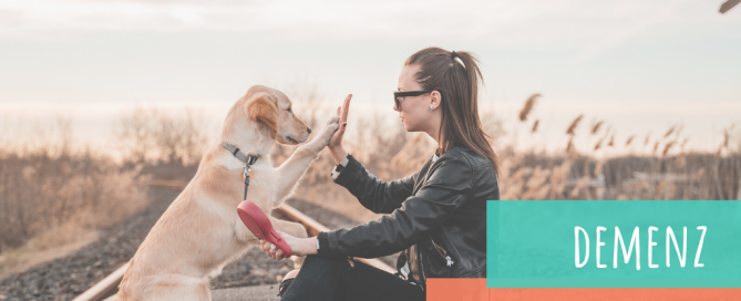demenz-beim-hund