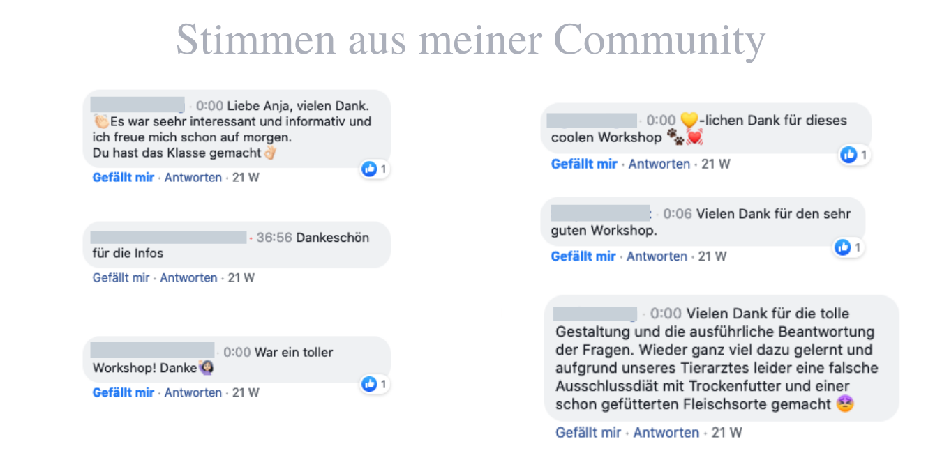 gratis-barf-workshop-barfen-leicht-gemacht.png gratis-barf-workshop-barfen-leicht-gemacht.png