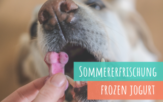 hundeeis-frozen-jogurt-für-den-hund