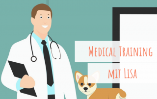 medical-training-angst-vor-dem-tierarzt
