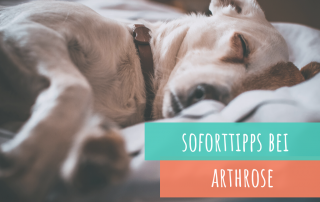 soforttipps-bei-arthrose