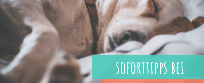soforttipps-bei-arthrose