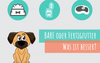 was-ist-besser-fertigfutter-oder-barf