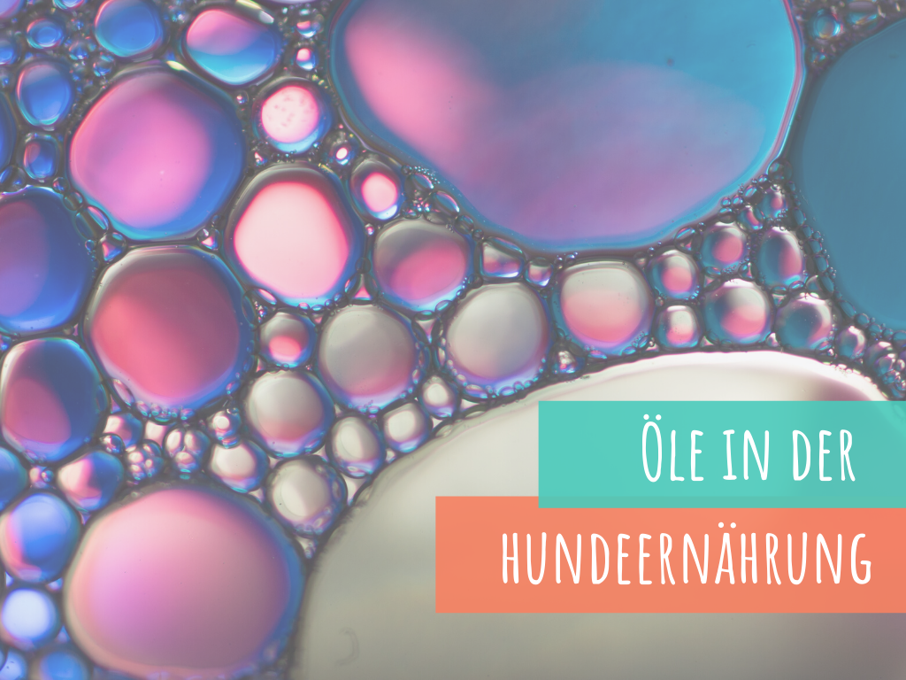 öle-in-der-hundefütterung-hundefutter