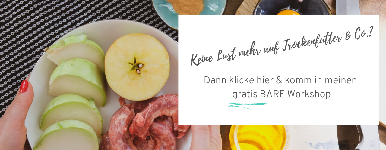 Barfen-für-Hunde-kostenlos-starten