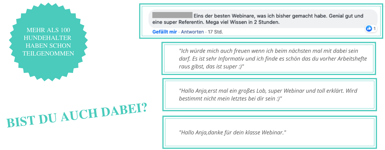 Kundenstimmen-zum-Webinar-Allergien-beim-Hund Kundenstimmen-zum-Webinar-Allergien-beim-Hund