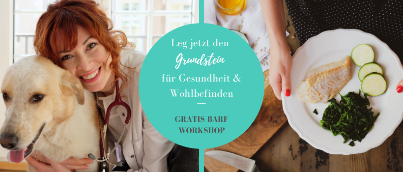 GrATIS-BARF-WORKSHOP