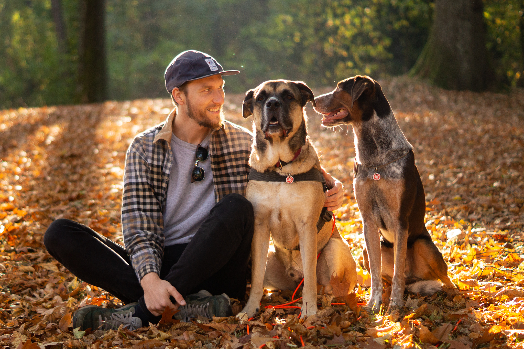 Alexander-Schillack-Gastbeitrag-Stress-bei-Hunden