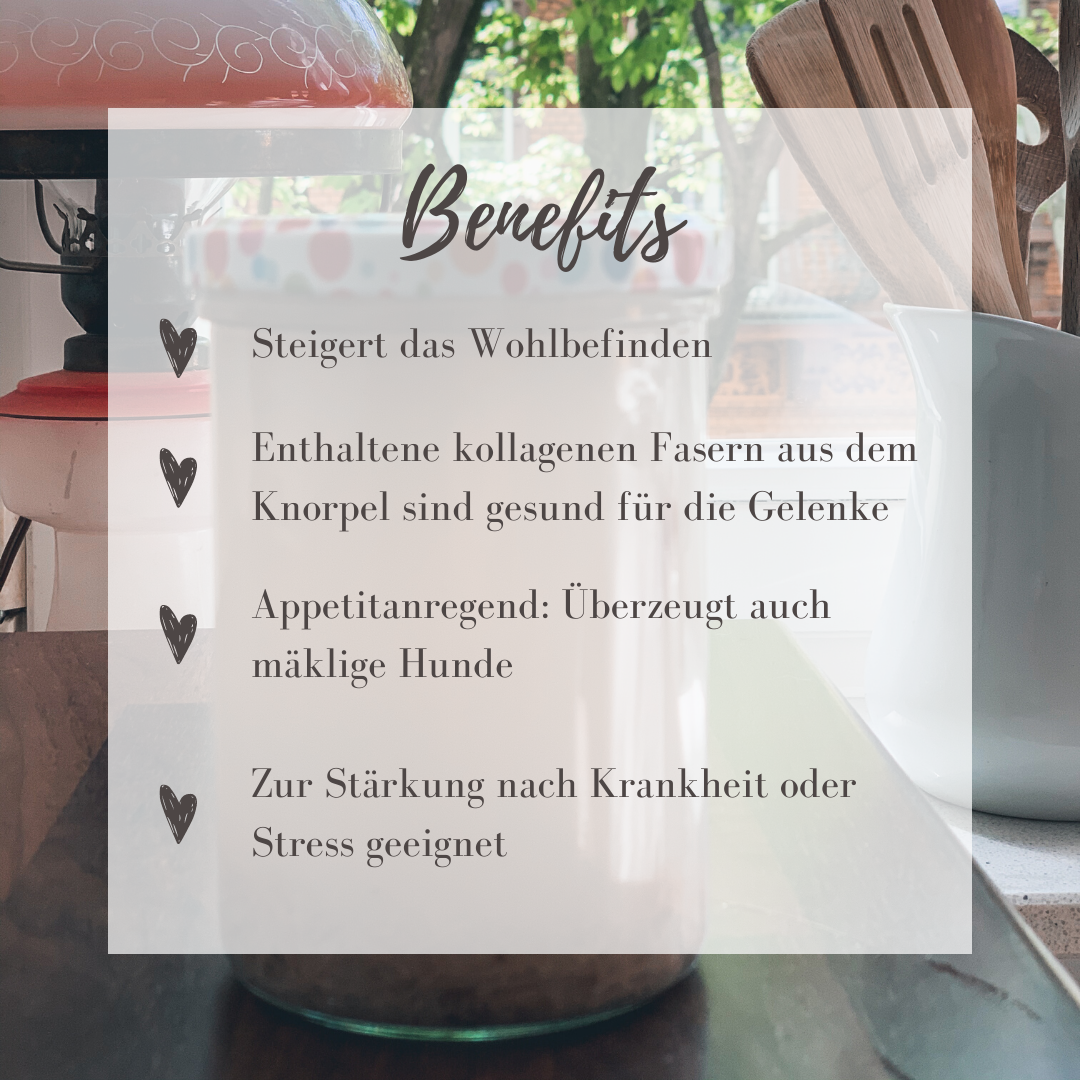 günstig-und-gesund-Knochenbrühe-für-den-Hund günstig-und-gesund-Knochenbrühe-für-den-Hund