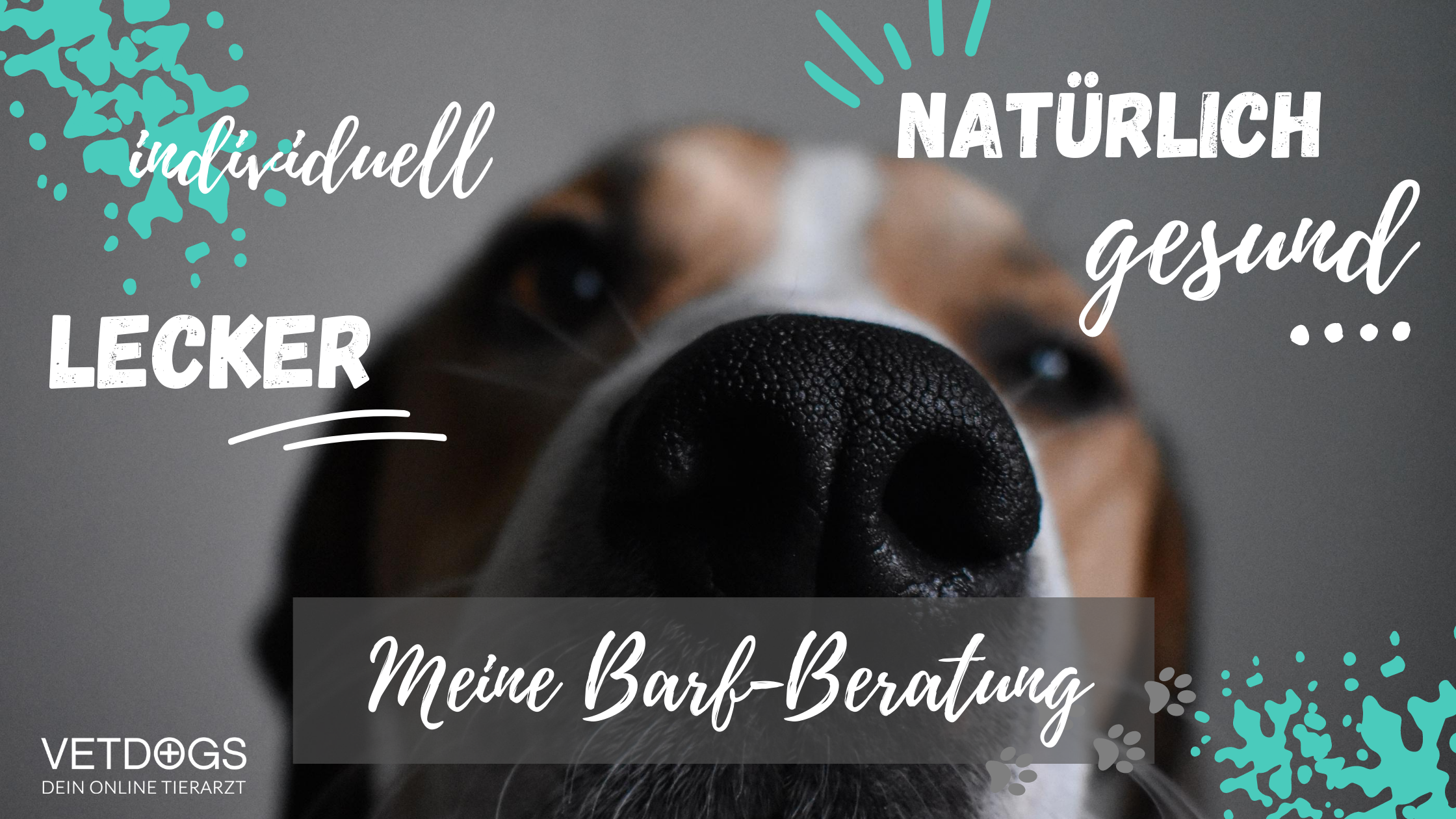 tierärztliche-BARF-Beratung-Ernährungsberatung