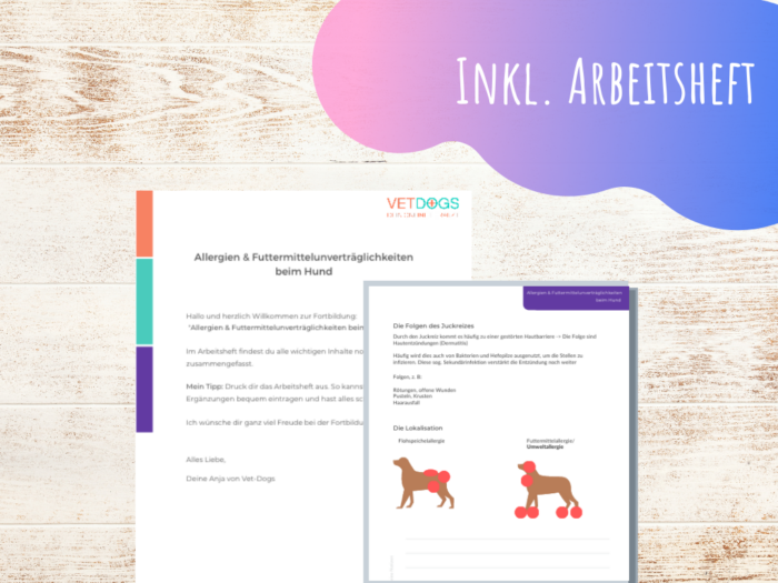 Allergien-Hund-Online-Kurs