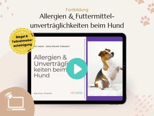 Fortbildung: Allergien & Futtermittelunverträglichkeiten