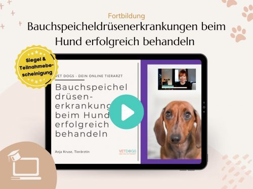 Fortbildung: Bauchspeicheldrüsenerkrankungen beim Hund erfolgreich behandeln