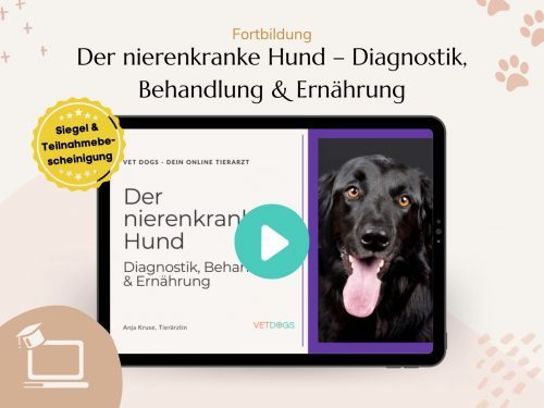 Fortbildung - Der nierenkranke Hund