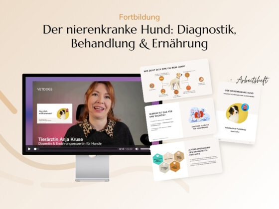 Der nierenkranke Hund: Diagnostik, Behandlung & Ernährung