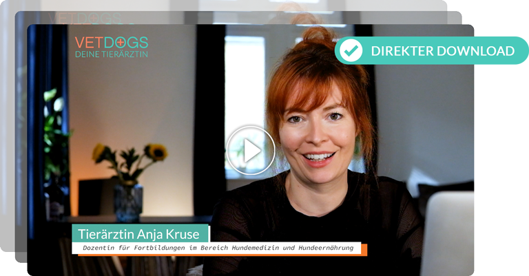 fortbildungen-player Fortbildungen Anja Kruse