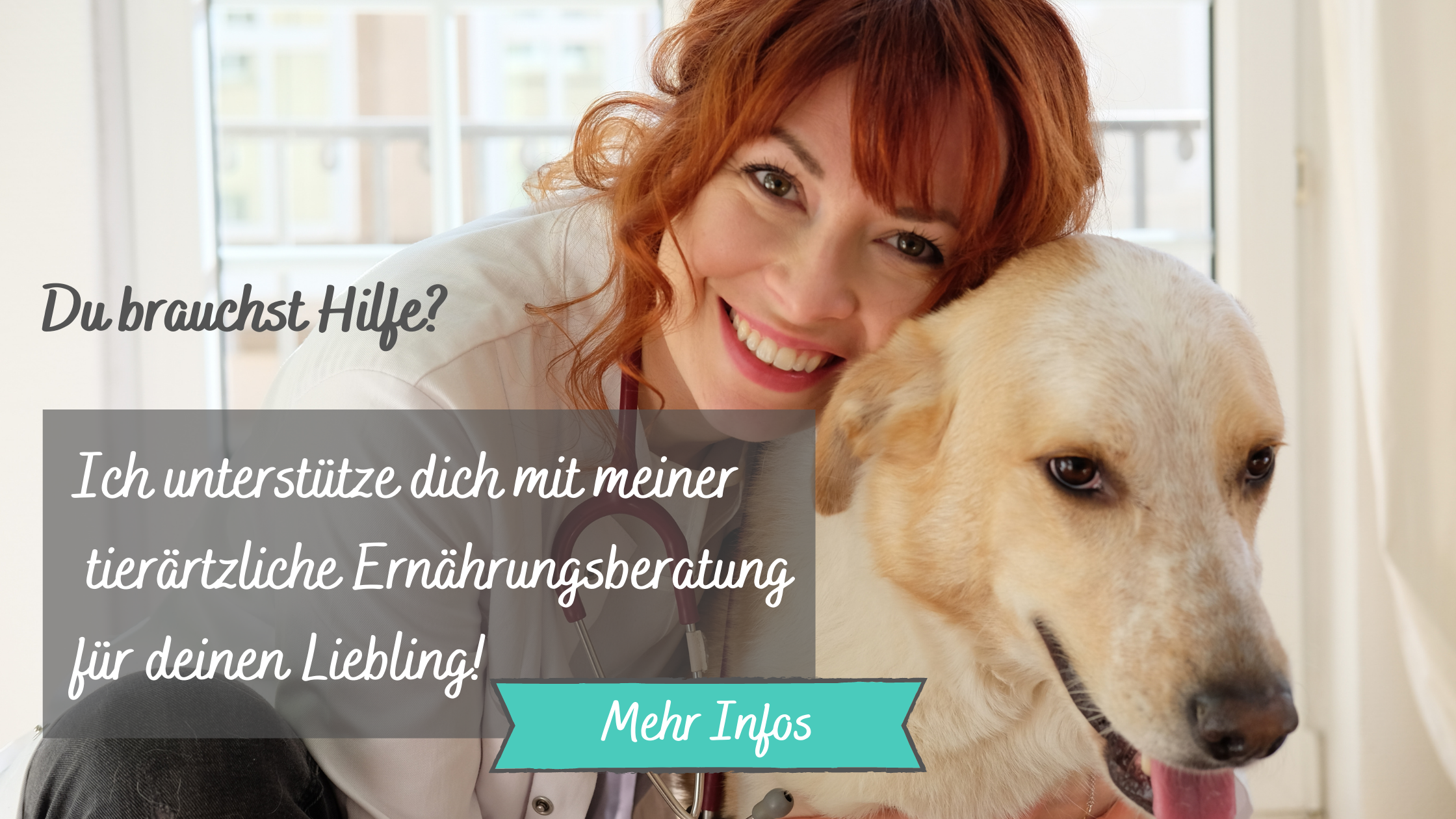 tierärztliche-Ernährungsberatung-für-deinen-Hund-direkt-vom-Tierarzt