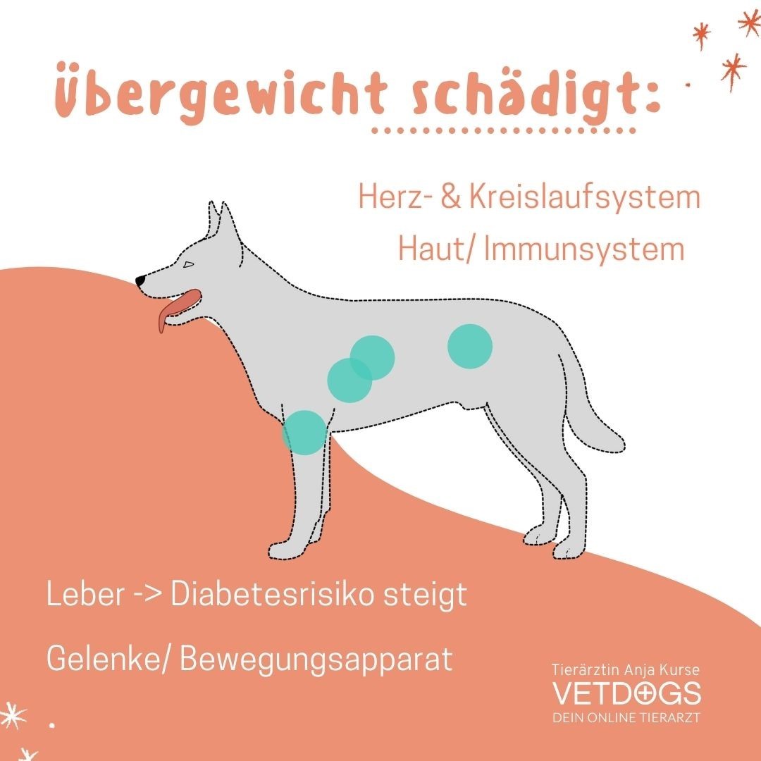 Kleiner knubbel in der leiste