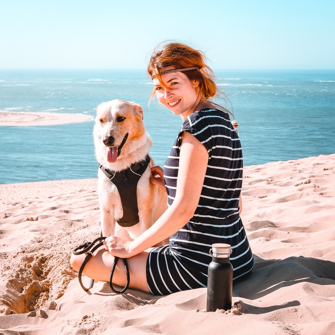 Der Mastzelltumor beim Hund So hilfst du deinem Hund VetDogs