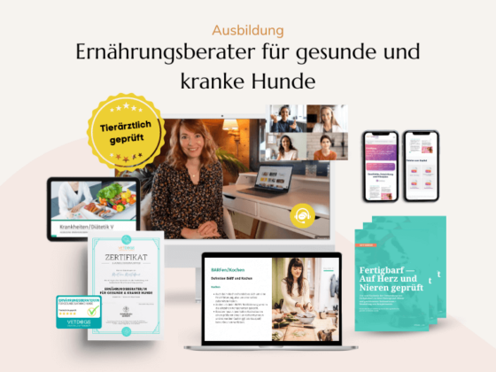 Produkt Ausbildung Ernährungsberater für gesunde und kranke Hunde