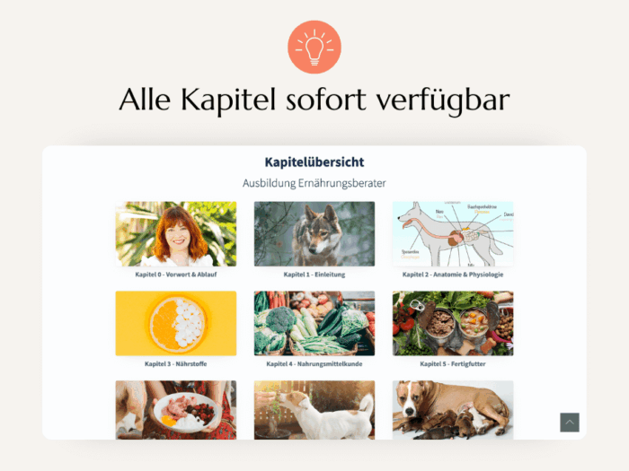 Ausbildung Ernährungsberater für Hunde – Bild 3