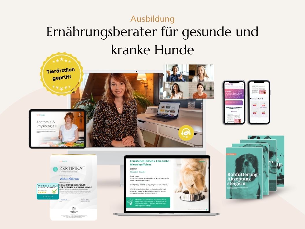 Produkt Ausbildung Ernährungsberater für gesunde und kranke Hunde