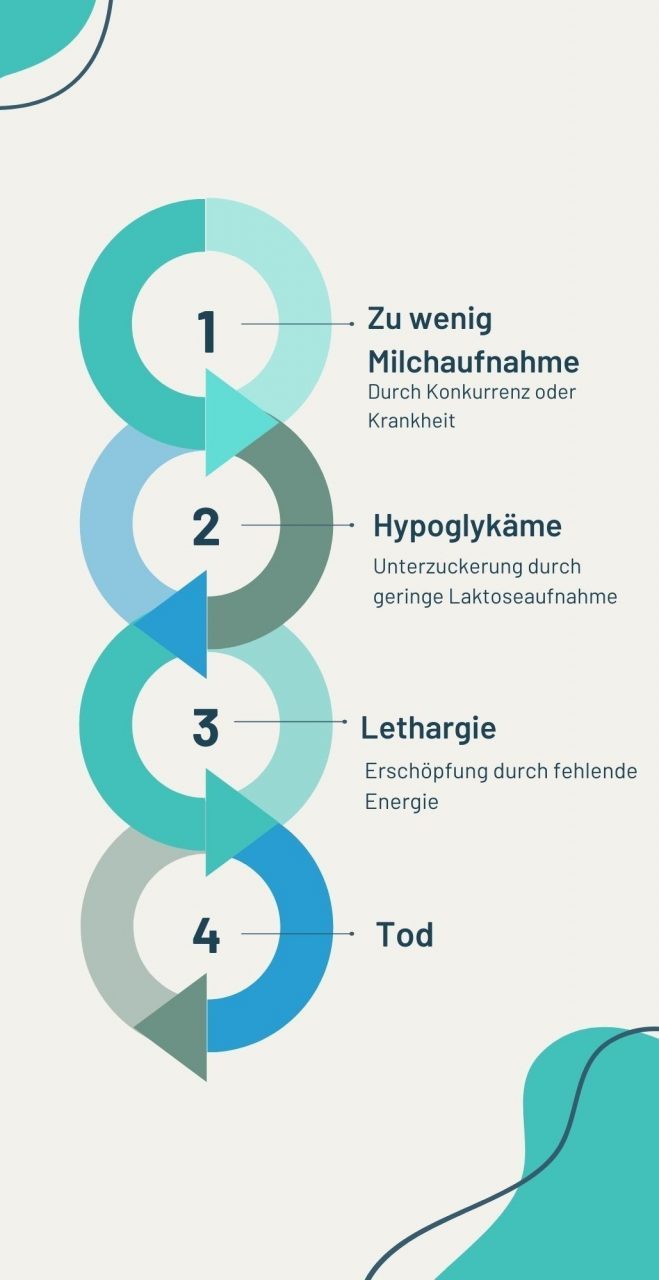 Täglich das Gewicht kontrollieren (1)