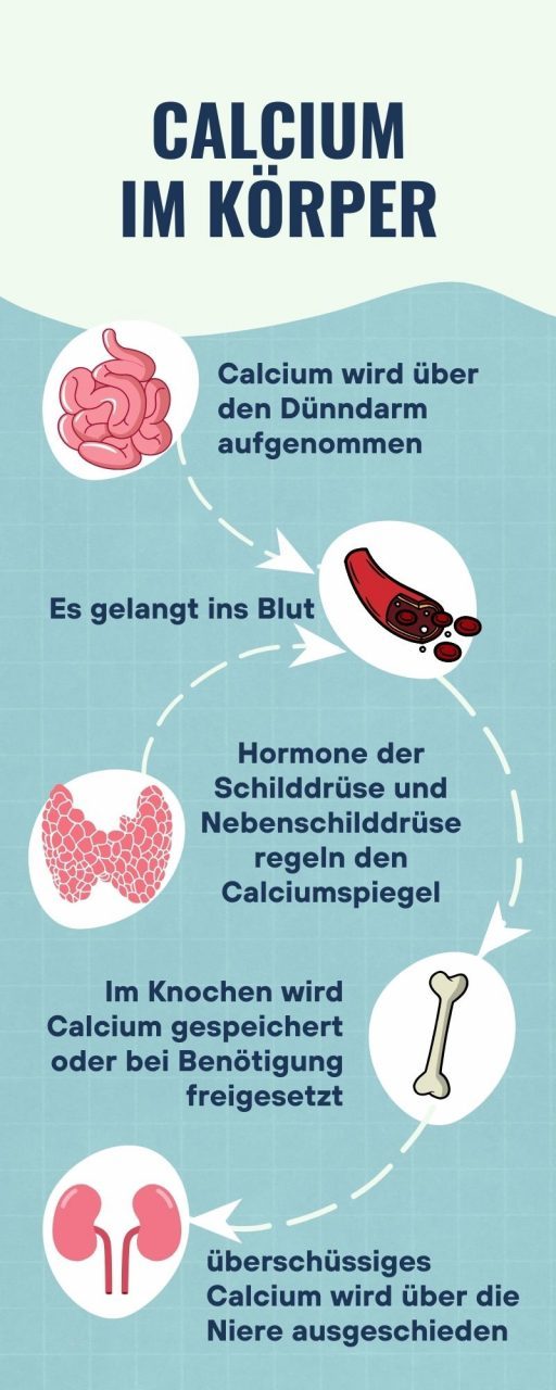 Prozess-Infografik