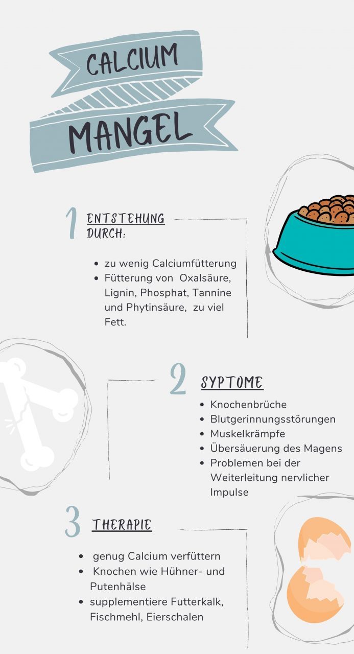 Titel der Prozess-Infografik